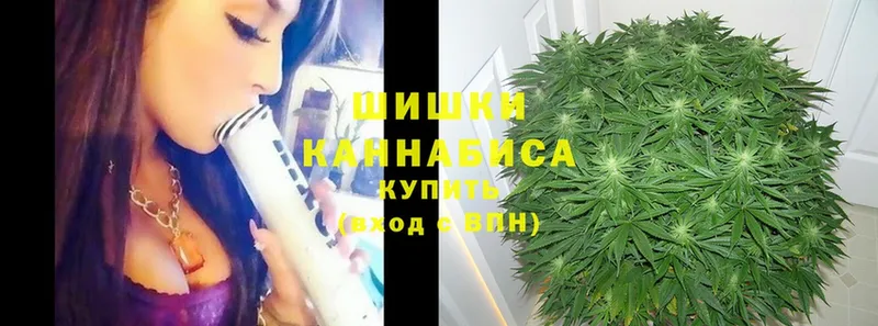 Канабис Ganja  Иннополис 